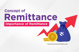 Concept of remittance
