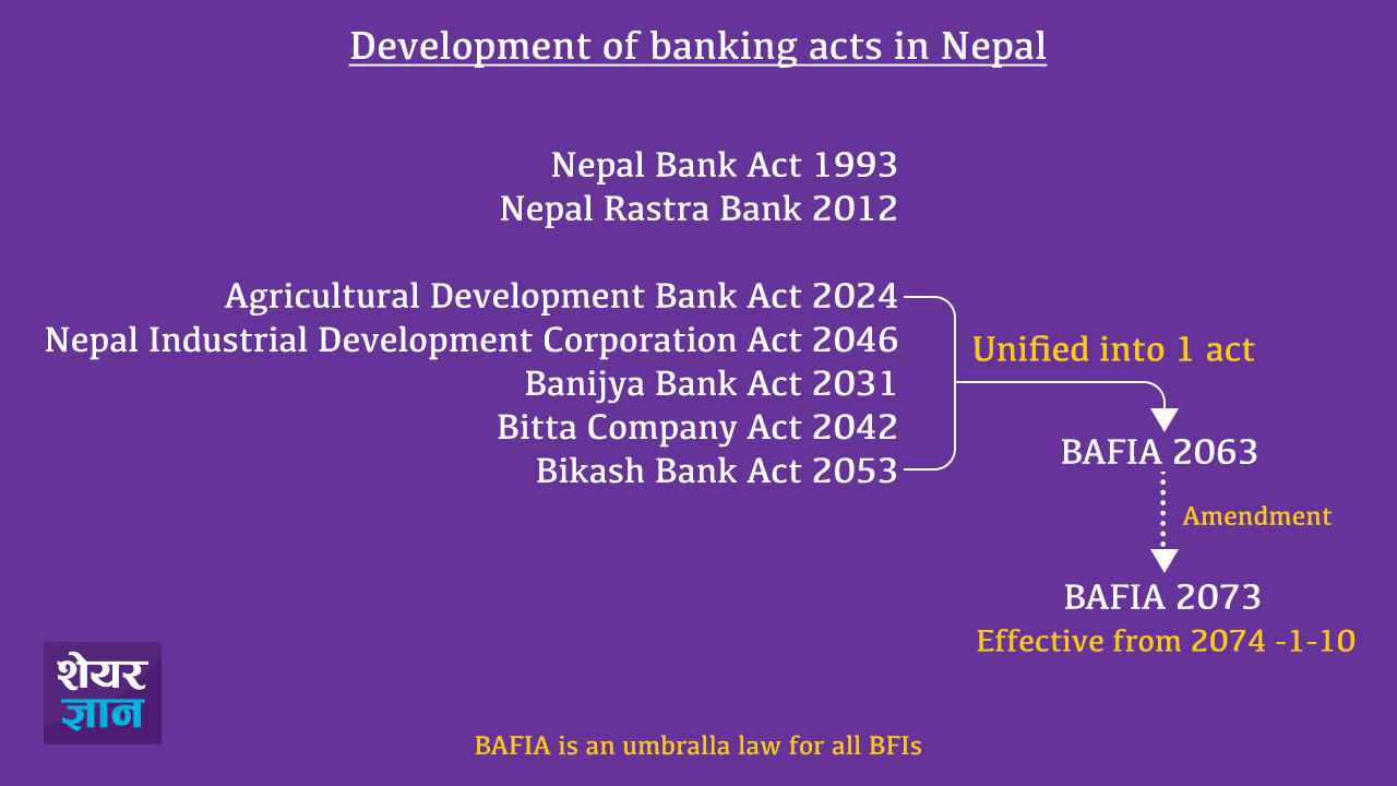 Development of BAFIA