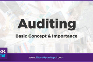 auditing