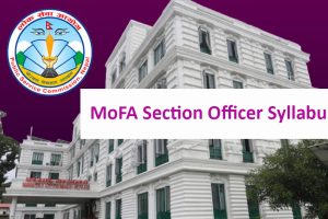 MoFA Section Officer syllabus